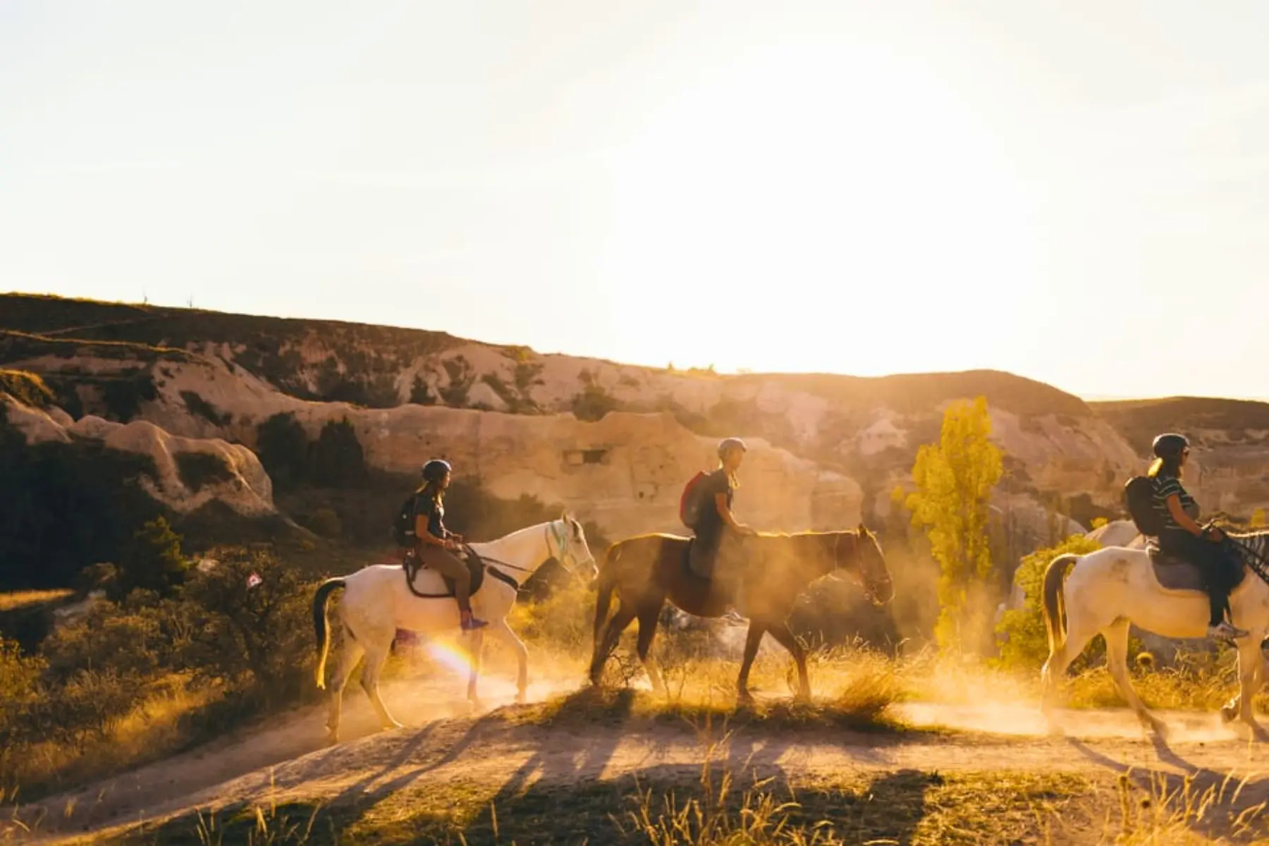 Horse-Riding-290